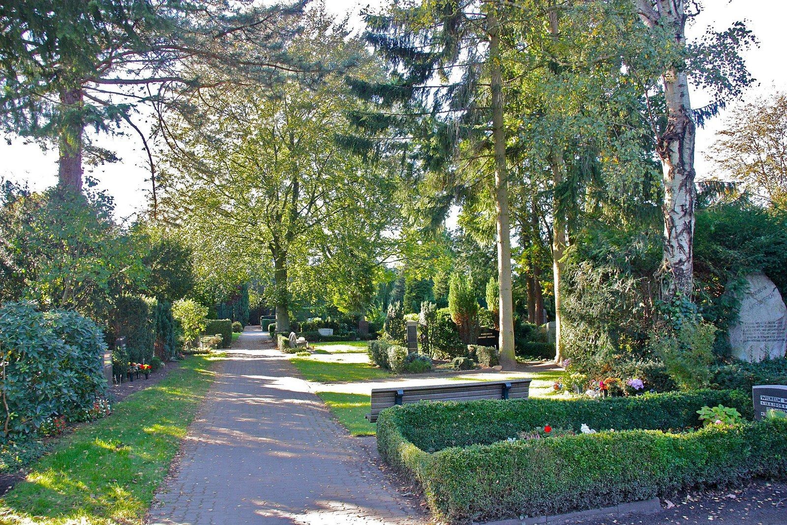 Weg auf dem Rahlstedt Friedhof – Rahlstedt Friedhof